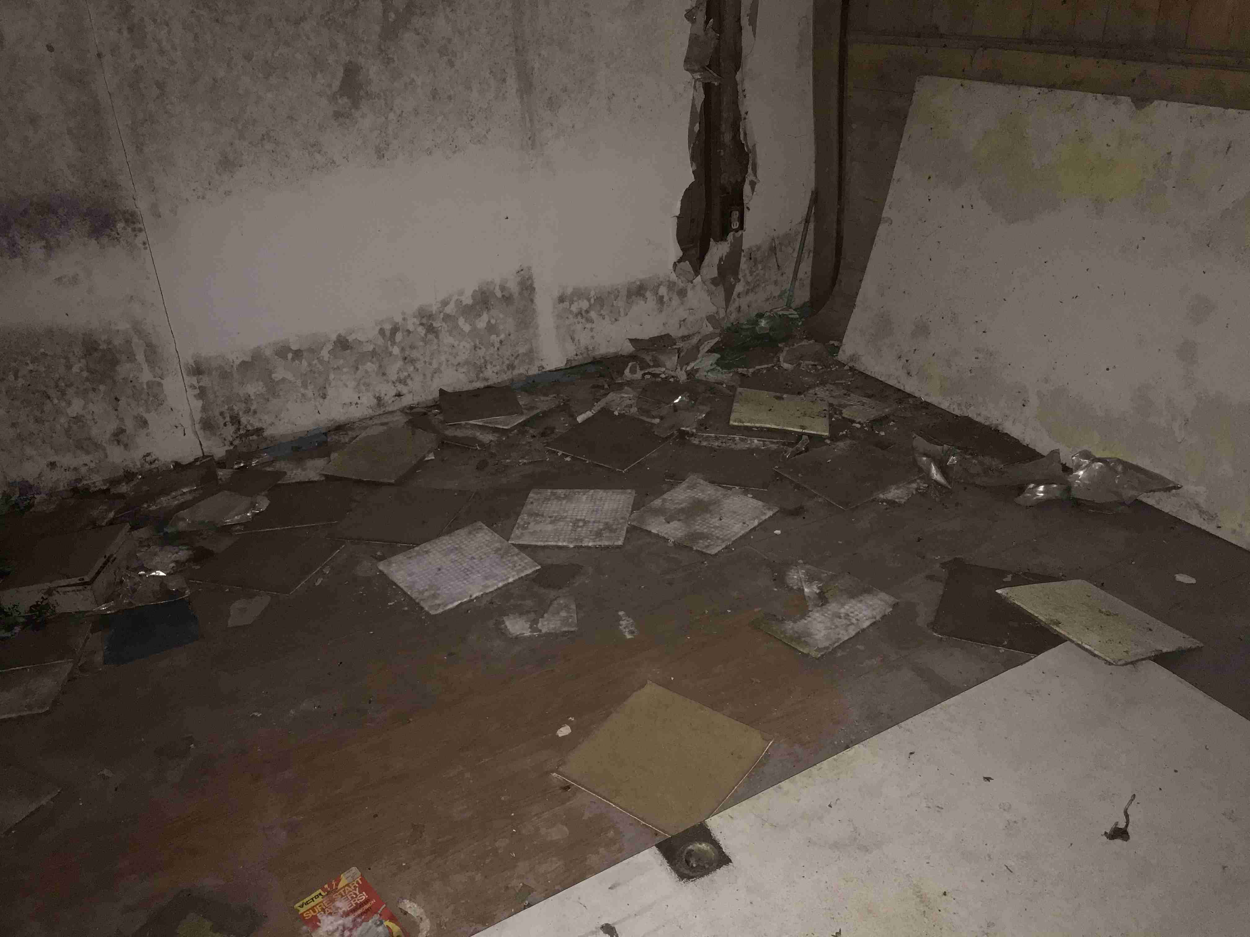 Photo Sep 15, 3 26 19 PM.jpg